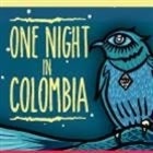 One Night in Colombia 2016