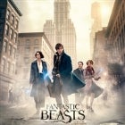 FANTASTIC BEASTS AND WHERE TO FIND THEM (M) 