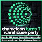 Chameleon 7th Birthday Warehouse Party