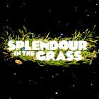 Splendour in the Grass 2010