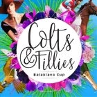 Colts & Fillies Marquee