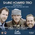 Shane Howard Trio (Norwood Live) - CANCELLED