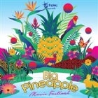 Big Pineapple Music Festival 2016