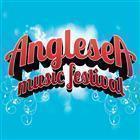 Anglesea Music Festival 2013