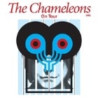 THE CHAMELEONS (UK)