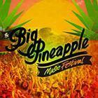 Big Pineapple Music Festival 2014