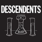 DESCENDENTS (USA) 2nd Show