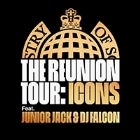 The Reunion Tour: Icons 