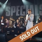 The Specials at Zoo Twilights 2017