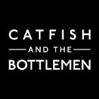 CATFISH AND THE BOTTLEMEN