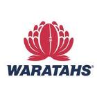 NSW Waratahs Season Launch