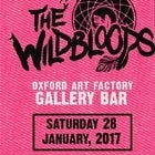 The Wildbloods 'Amy Baby' single launch