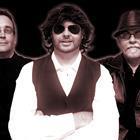 ONE NIGHT ONLY - THE BEE GEES SHOW // CANCELLED //