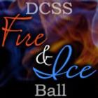 The 2015 Annual DCSS Ball