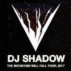DJ SHADOW (USA)
