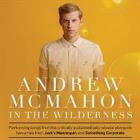 ANDREW MCMAHON IN THE WILDERNESS