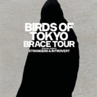 Birds of Tokyo ‘Brace’ Tour