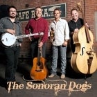 The Sonoran Dogs (USA)