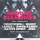 HARD AS DIAMONDS FEAT TIGERTOWN DJS, NUSSY, LANKS DJS, OWEN RABBIT, JEBU DJS AND NATIVE SPIRIT