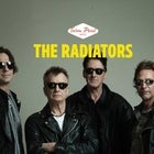 The Radiators 