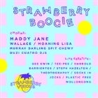 Strawberry Boogie w/ Maddy Jane // Wallace // Moaning Lisa // Murray Darling // Spit Chewy