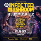 Infected Mushroom - Reborn World Tour