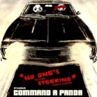 Command A Panda - Single Launch