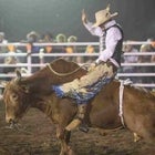 Top End Mustering Rodeo