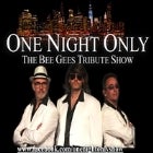 One Night Only - The Bee Gees Tribute Show