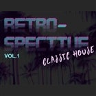 RETROSPECTIVE Vol.1 - Classic House