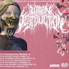 Within Destruction "Yokal Australian Tour" NEW DATE