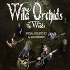 Wild Orchids & The Weeds