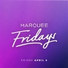 Marquee Fridays - 15 Grams