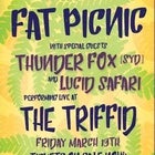 Fat Picnic w/ Thunder Fox (SYD) & Lucid Safari