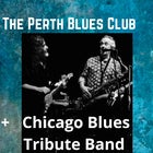 Harry Blues + Chicago Blues Tribute Band