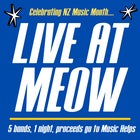 Live At Meow - MusicHelps Fundraiser