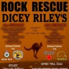 Rock Rescue Fundraiser 1 