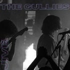 The Gullies