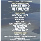 Something In The Ayr (Music Festival)