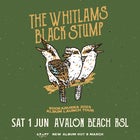 THE WHITLAMS BLACK STUMP  - Kookaburra 2024 Album Launch Tour