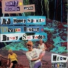 Aunty Records presents: Aj Honeysuckle, Dylan Biscuit, Benny Salvador