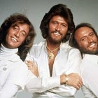 THE BEE GEES: HOW CAN YOU MEND A BROKEN HEART (M)