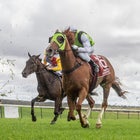 Races - Sunday 26 March 2023