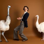 Jazz Emu: Emus United (An Australian Tour) 