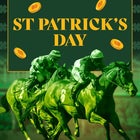 St Patrick's Day at the Bay