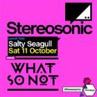 Stereosonic Launch Bali feat What So Not