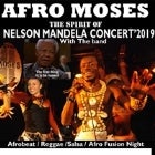 Afro Moses Ojah - The Spirit of Nelson Mandela