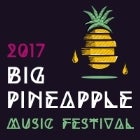 Big Pineapple Music Festival 2017