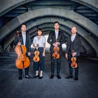 Australian String Quartet x Brading/Kither/Mee Performance 2