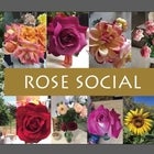 Rose garden tea party - Valentine's Day